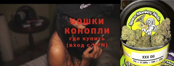 дмт Инсар