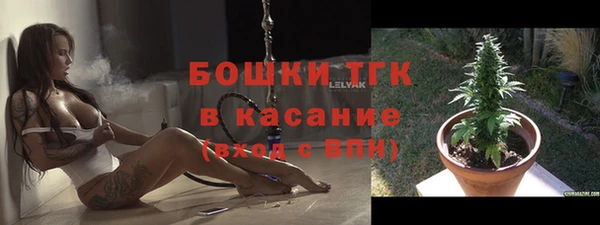 дмт Инсар