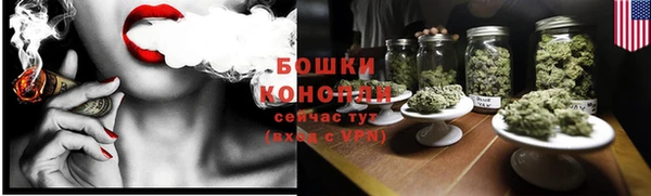 PSILOCYBIN Инта