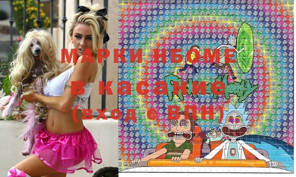дмт Инсар
