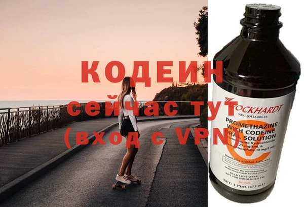 прущие грибы Каменногорск