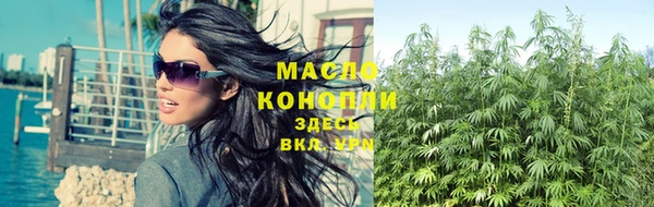 дмт Инсар