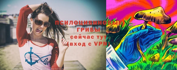 PSILOCYBIN Инта