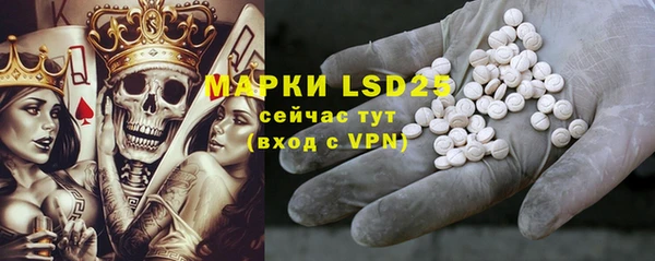 PSILOCYBIN Инта