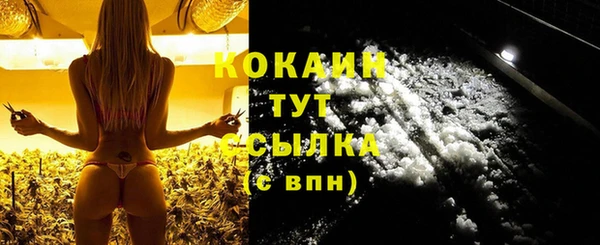 амф Каменка