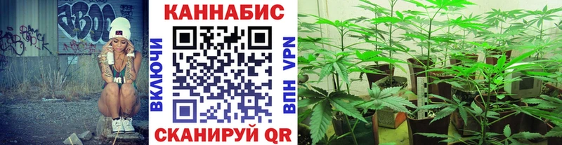 Бошки Шишки план  Купить где  Белебей 